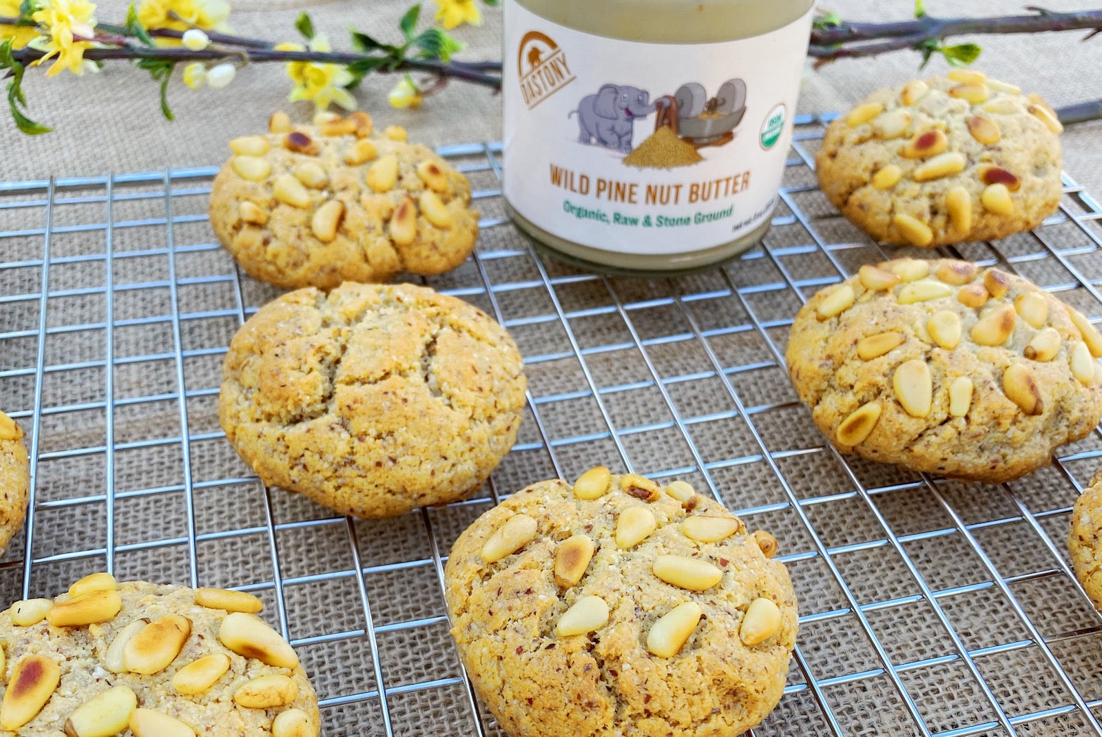 Pine Nut Pignoli Cookies (GlutenFree, GrainFree) Dastony