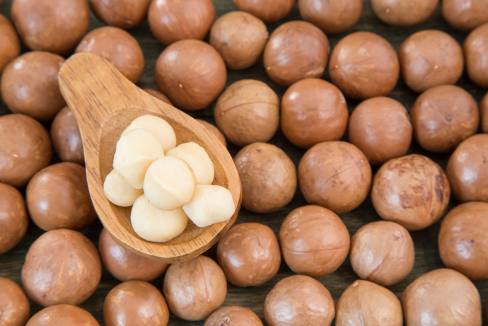 Macadamia Nuts: Nature's Creamy Delight!