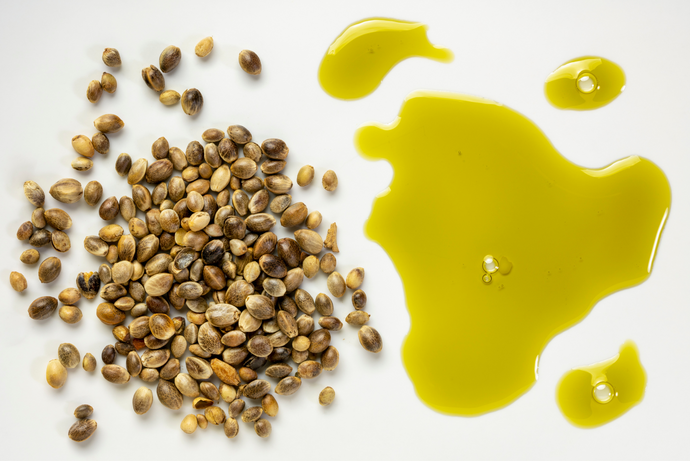 Embracing Nutritious Delights: Exploring Dishes with Hemp Seed Butter!